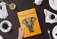 Destino Varanasi: uma jornada em busca de sentido Destino Varanasi