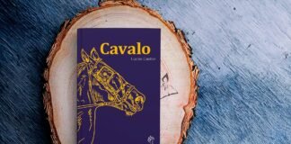Cavalo: Masculinidade e envelhecimento em foco Cavalo