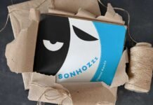 Sonhozzz vence Jabuti e encanta com imaginação infantil Sonhozzz