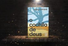 O cochilo de Deus: ficção metafísica sobre humanidade O cochilo de Deus