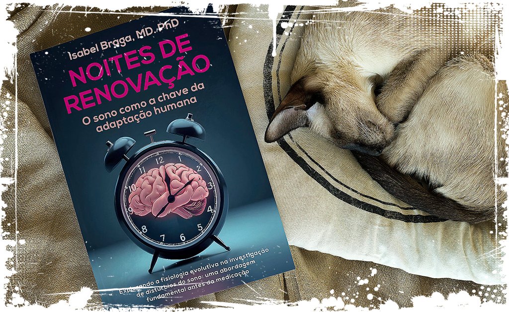 Noites de renovação