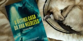 A Última Casa da Rua Needless: suspense e terror psicológico A Última Casa da Rua Needless