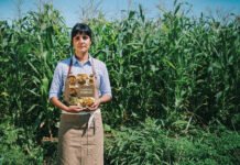 Comidinhas mágicas transforma a cozinha em aventura familiar Comidinhas mágicas