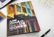 Mercado Sul: Um Chão de Cores preserva memórias vivas Mercado Sul: Um Chão de Cores