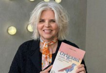 Origami com asas – sobrevivo às dobras do tempo e da vida Origami com asas