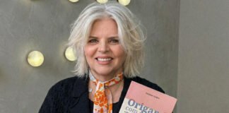 Origami com asas – sobrevivo às dobras do tempo e da vida Origami com asas